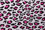 Cheetah Aaryn