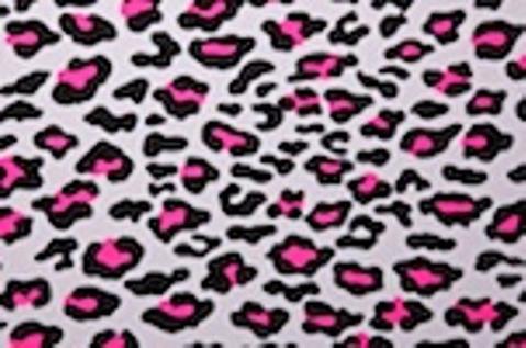 Cheetah Aaryn