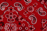 Bandana Red