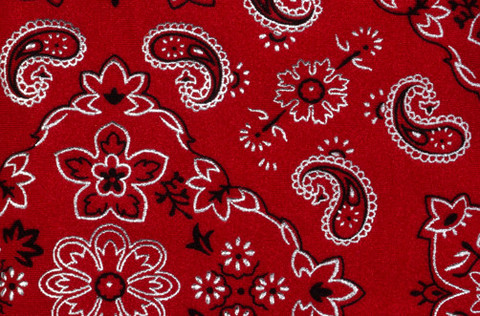 Bandana Red