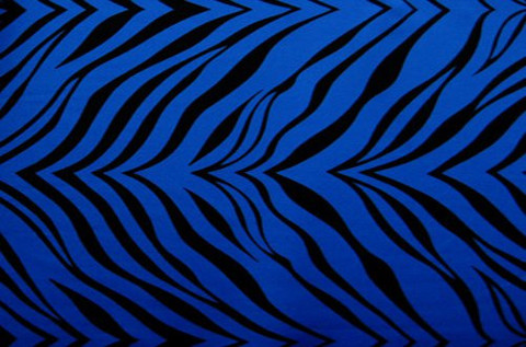 Zebra Royal Blue and Black